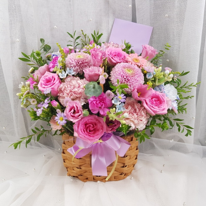 ST-A2026