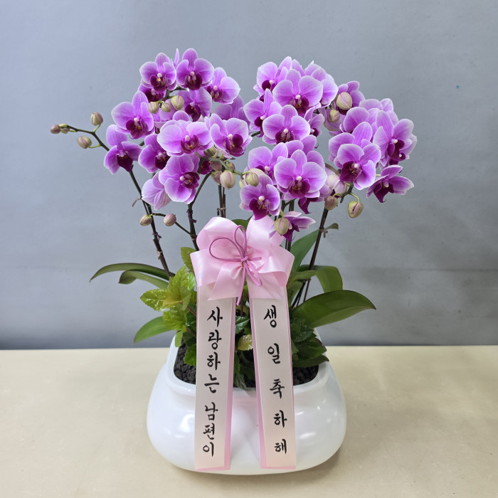 ST-H485