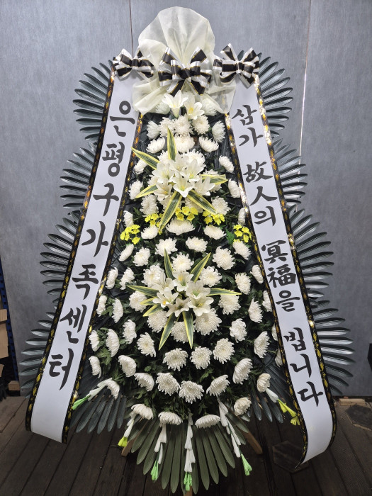 ST-FB226