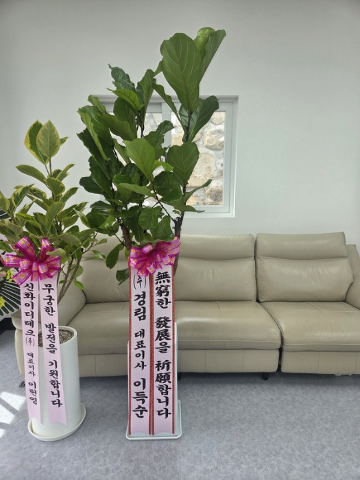 배송사진