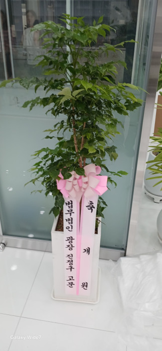 배송사진