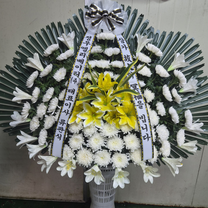 ST-FB096