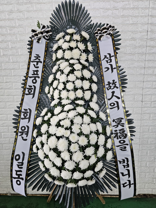 ST-FB226