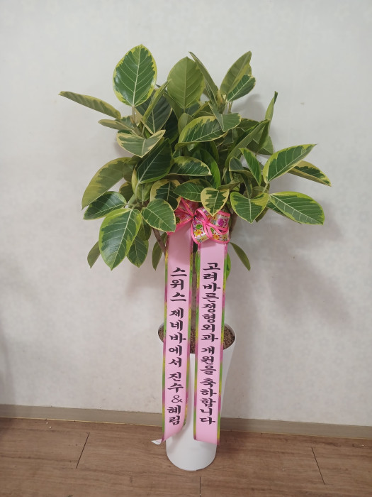 배송사진