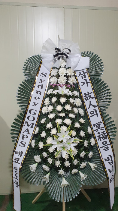 ST-FB226