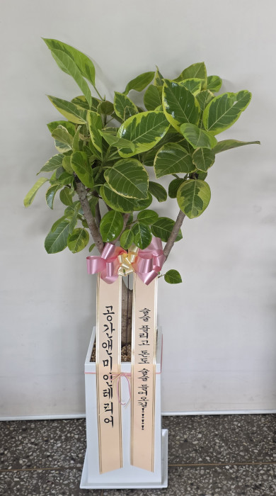배송사진