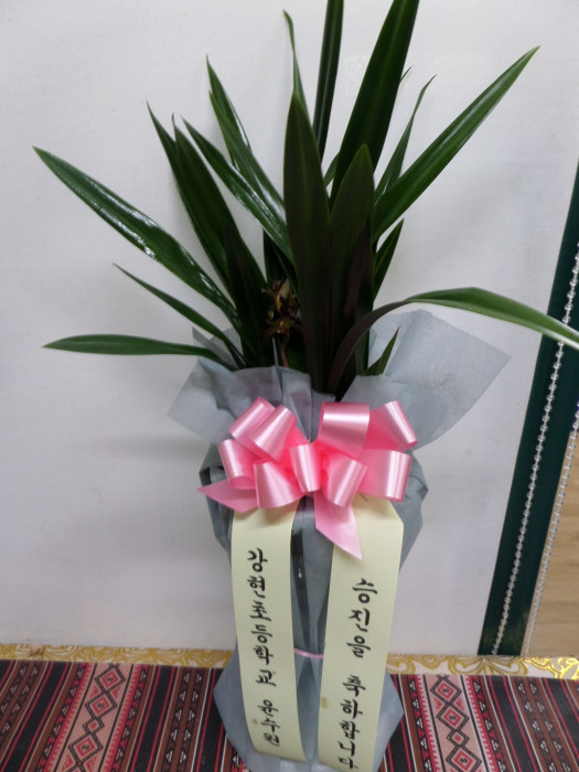 배송사진