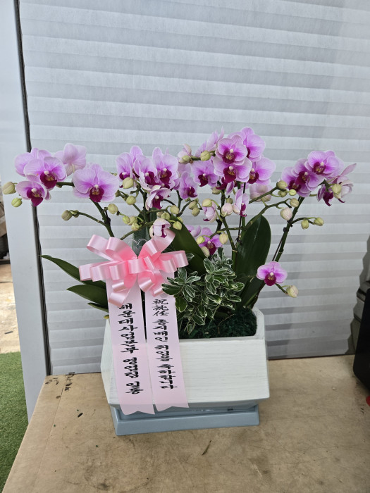 ST-H518