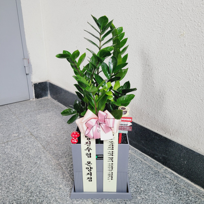 배송사진