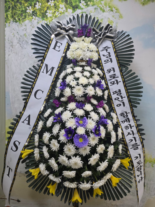 ST-FB269