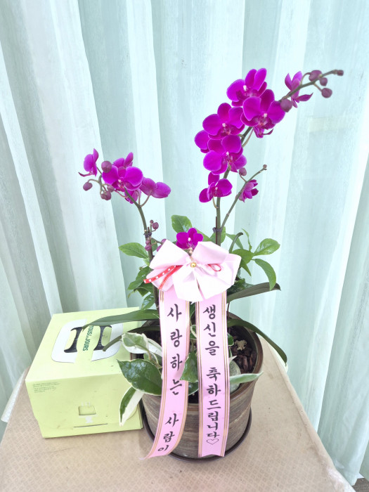 배송사진