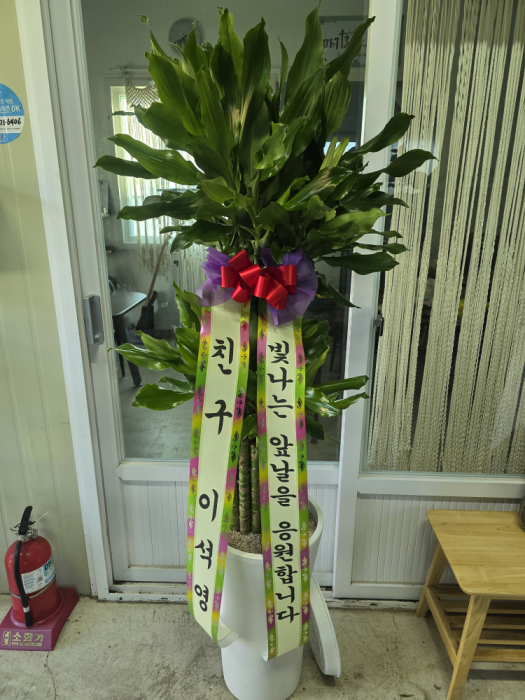 배송사진