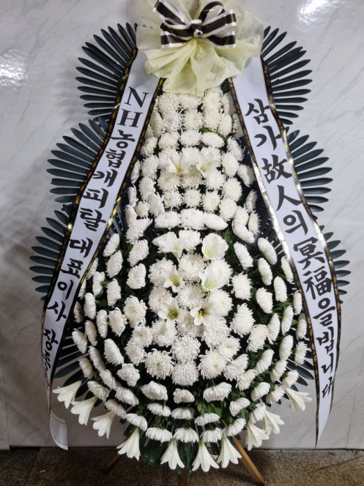 ST-FB226