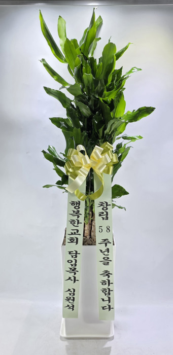 ST-D782