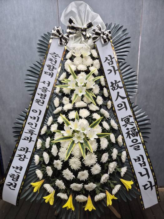 ST-FB226