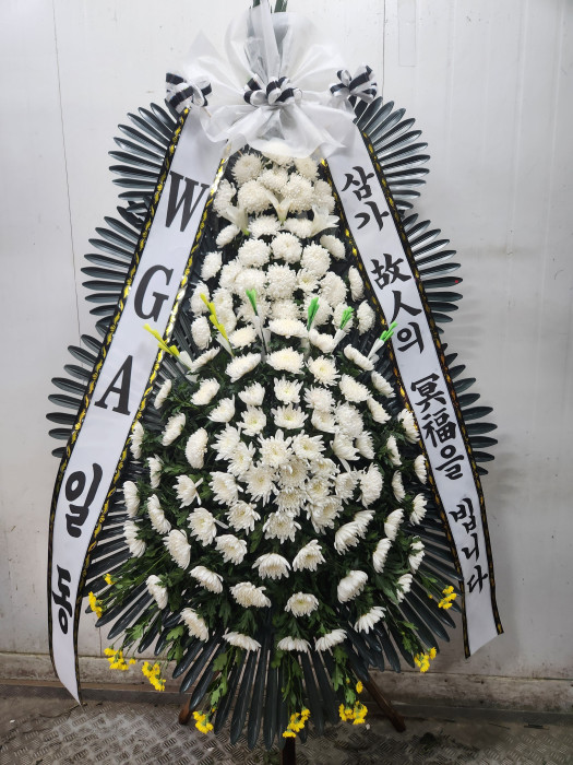 ST-FB226